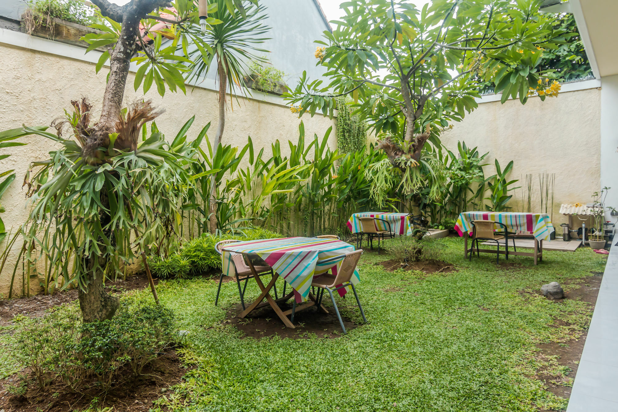 Zen Rooms Denpasar Mertasari Экстерьер фото